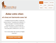 Tablet Screenshot of kanidikoi.com